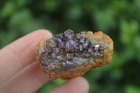 Natural Small Dark "Amethystos" Amethyst Clusters  x 35 From Kwaggafontein, South Africa - Toprock Gemstones and Minerals 