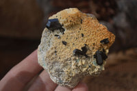 Natural Schorl Black Tourmaline Specimens x 6 From Erongo, Namibia - Toprock Gemstones and Minerals 