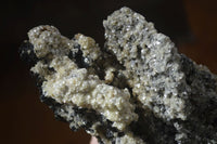 Natural Large Schorl Black Tourmaline Specimen x 1 From Erongo, Namibia - Toprock Gemstones and Minerals 