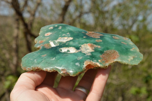 Polished One Side Polished Green Mtorolite Slices  x 2 From Zimbabwe - TopRock