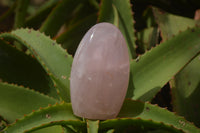 Polished Pink Rose Quartz Standing Free Forms x 2 From Ambatondrazaka, Madagascar - TopRock