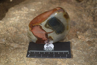 Polished Polychrome Jasper Standing Free Forms  x 3 From Madagascar - Toprock Gemstones and Minerals 
