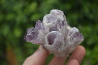 Natural Sugar Amethyst Clusters  x 6 From Solwezi, Zambia - Toprock Gemstones and Minerals 