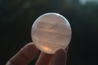 Polished Star Rose Quartz Spheres  x 6 From Ambatondrazaka, Madagascar - Toprock Gemstones and Minerals 