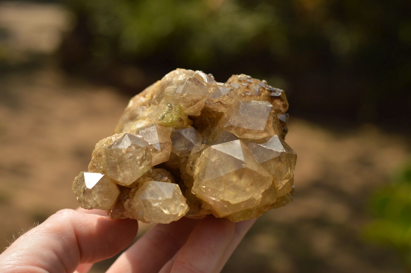 Natural Smokey Phantom Quartz Clusters x 4 From Luena, Congo - TopRock
