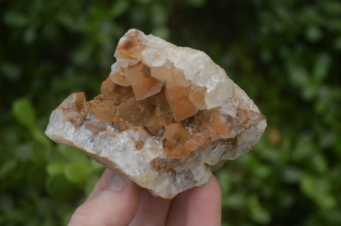 Natural Limonite Quartz Clusters x 12 From Solwezi, Zambia - Toprock Gemstones and Minerals 
