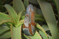 Polished Polychrome Jasper Standing Free Forms  x 3 From Madagascar - Toprock Gemstones and Minerals 