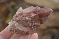 Natural Red Hematoid Quartz Specimens x 12 From Karoi, Zimbabwe - Toprock Gemstones and Minerals 
