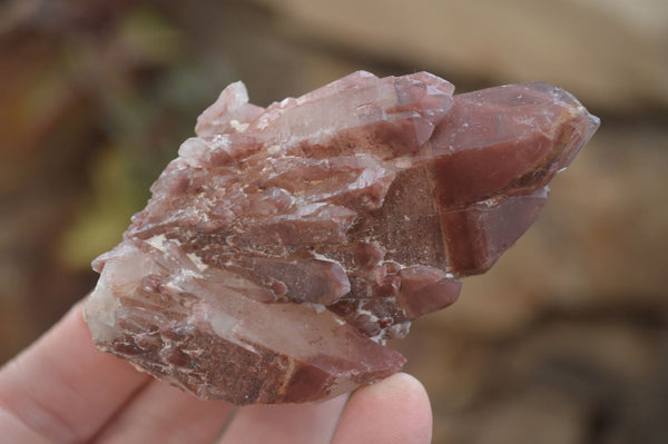 Natural Red Hematoid Quartz Specimens x 12 From Karoi, Zimbabwe - Toprock Gemstones and Minerals 