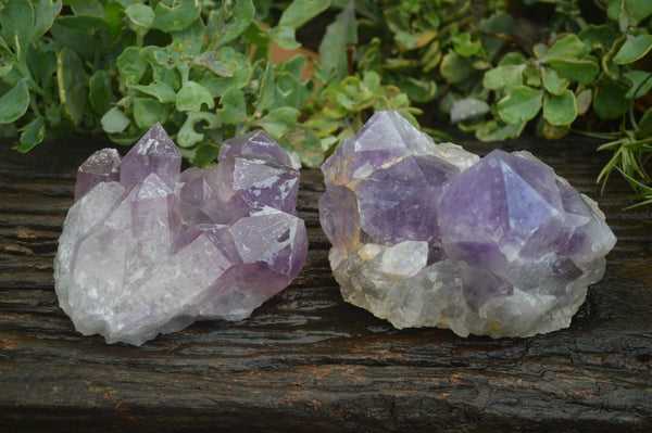 Natural Jacaranda Amethyst Clusters x 2 From Mumbwa, Zambia - TopRock