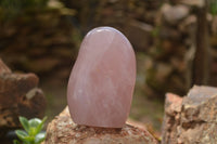 Polished Pink Rose Quartz Standing Free Forms x 2 From Ambatondrazaka, Madagascar - TopRock