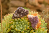 Natural Small Dark "Amethystos" Amethyst Clusters x 63 From Kwaggafontein, South Africa - TopRock