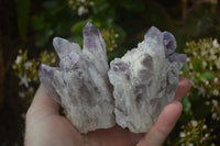 Natural Sugar Amethyst Clusters  x 6 From Solwezi, Zambia - Toprock Gemstones and Minerals 