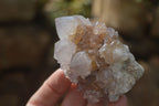 Natural Cactus Flower Spirit Quartz Specimens x 12 From Boekenhouthoek, South Africa - Toprock Gemstones and Minerals 