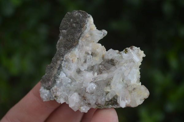 Natural Clear Quartz Matrix Specimens  x 6 From Brandberg, Namibia - Toprock Gemstones and Minerals 