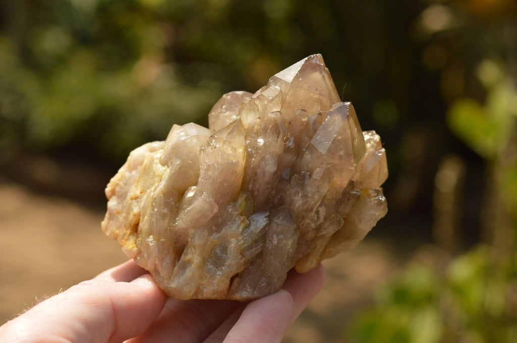 Natural Smokey Phantom Quartz Clusters x 4 From Luena, Congo - TopRock