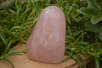 Polished Pink Rose Quartz Standing Free Forms x 2 From Ambatondrazaka, Madagascar - TopRock