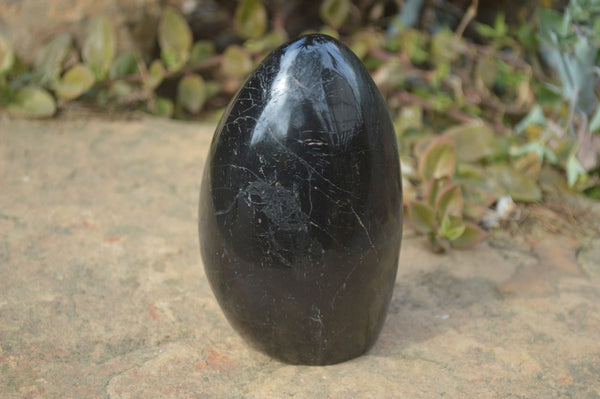 Polished Schorl Black Tourmaline Standing Free Form x 1 From Madagascar - Toprock Gemstones and Minerals 