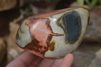 Polished Polychrome Jasper Standing Free Forms  x 3 From Madagascar - Toprock Gemstones and Minerals 