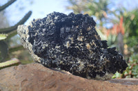 Natural Large Schorl Black Tourmaline Specimen x 1 From Erongo, Namibia - Toprock Gemstones and Minerals 