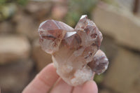 Natural Red Hematoid Quartz Specimens x 12 From Karoi, Zimbabwe - Toprock Gemstones and Minerals 