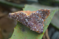 Natural Small Dark "Amethystos" Amethyst Clusters  x 35 From Kwaggafontein, South Africa - Toprock Gemstones and Minerals 