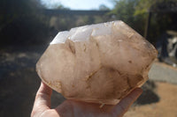 Polished Double Terminated Smokey Quartz Stepped Crystal x 1 From Madagascar - Toprock Gemstones and Minerals 