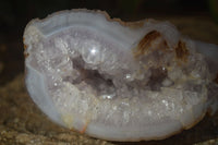 Polished Crystal Centred Agate Geodes  x 5 From Madagascar