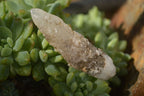 Natural Drusy Quartz Coated Calcite Crystals  x 20 From Alberts Mountain, Lesotho - Toprock Gemstones and Minerals 