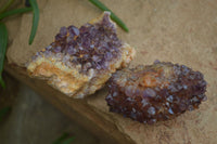 Natural Small Dark "Amethystos" Amethyst Clusters  x 35 From Kwaggafontein, South Africa - Toprock Gemstones and Minerals 