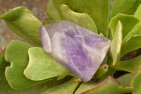 Polished Trio Of Dream Amethyst Points  x 3 From Madagascar - TopRock