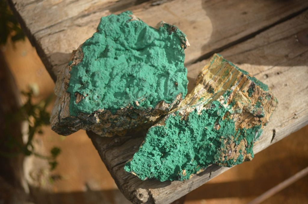 Natural Micro Botryoidal Crystalline Malachite Specimens  x 2 From Congo - Toprock Gemstones and Minerals 