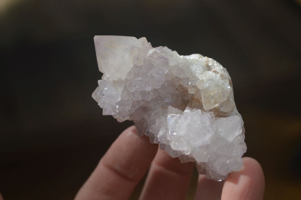Natural Cactus Flower Spirit Quartz Specimens x 12 From Boekenhouthoek, South Africa - Toprock Gemstones and Minerals 