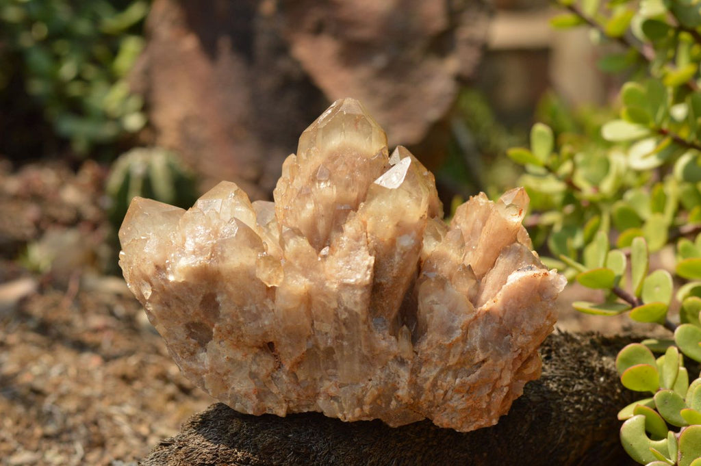 Natural Smokey Phantom Quartz Clusters x 4 From Luena, Congo - TopRock
