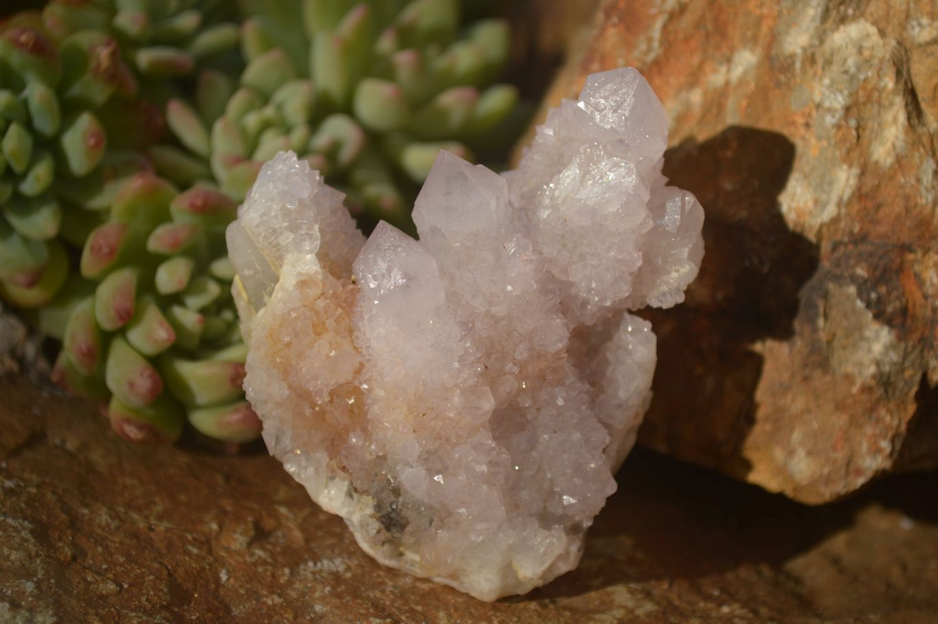 Natural Pale Lilac Spirit Quartz Clusters x 12 From Boekenhouthoek, South Africa - Toprock Gemstones and Minerals 