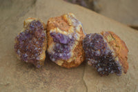 Natural Small Dark "Amethystos" Amethyst Clusters  x 35 From Kwaggafontein, South Africa - Toprock Gemstones and Minerals 