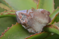 Natural Red Hematoid Quartz Specimens x 12 From Karoi, Zimbabwe - Toprock Gemstones and Minerals 