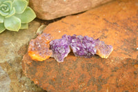 Natural Small Dark "Amethystos" Amethyst Clusters x 63 From Kwaggafontein, South Africa - TopRock
