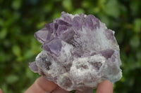 Natural Sugar Amethyst Clusters  x 6 From Solwezi, Zambia - Toprock Gemstones and Minerals 