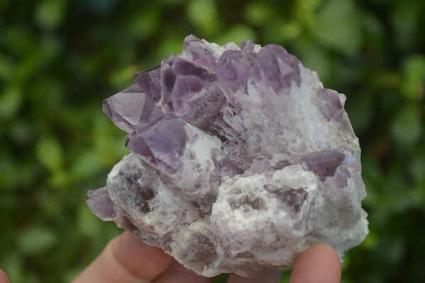 Natural Sugar Amethyst Clusters  x 6 From Solwezi, Zambia - Toprock Gemstones and Minerals 