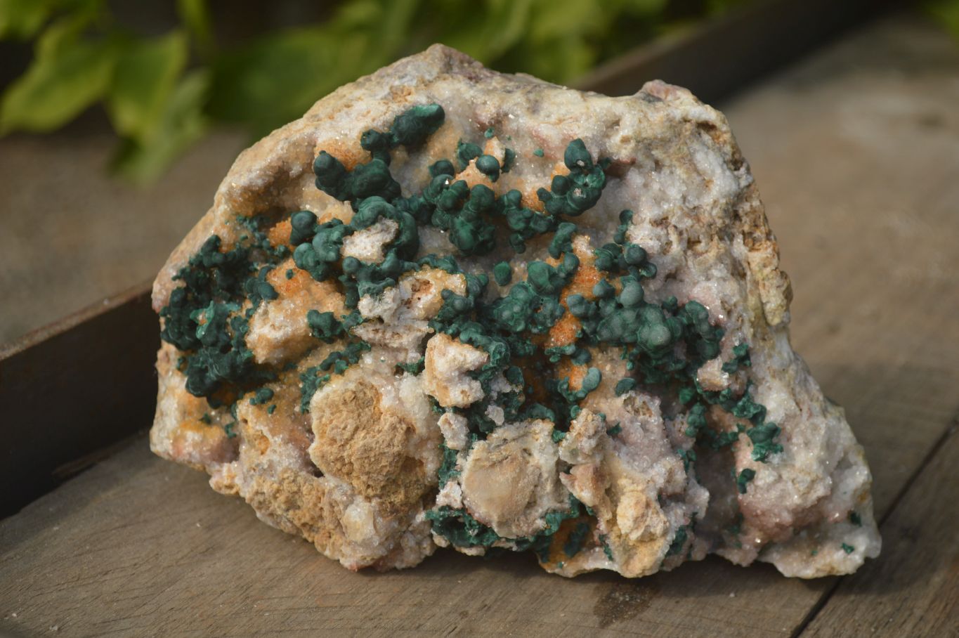 Natural Rare Ball Malachite On Golden Limonite Quartz & Dolomite Specimen x 1 From Kambove, Congo - Toprock Gemstones and Minerals 