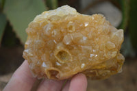 Natural Limonite Quartz Clusters x 12 From Solwezi, Zambia - Toprock Gemstones and Minerals 