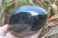 Polished Schorl Black Tourmaline Standing Free Form x 1 From Madagascar - Toprock Gemstones and Minerals 