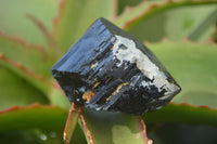 Natural Schorl Black Tourmaline Specimens x 6 From Erongo, Namibia - Toprock Gemstones and Minerals 