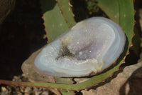 Polished Crystal Centred Agate Geodes  x 5 From Madagascar