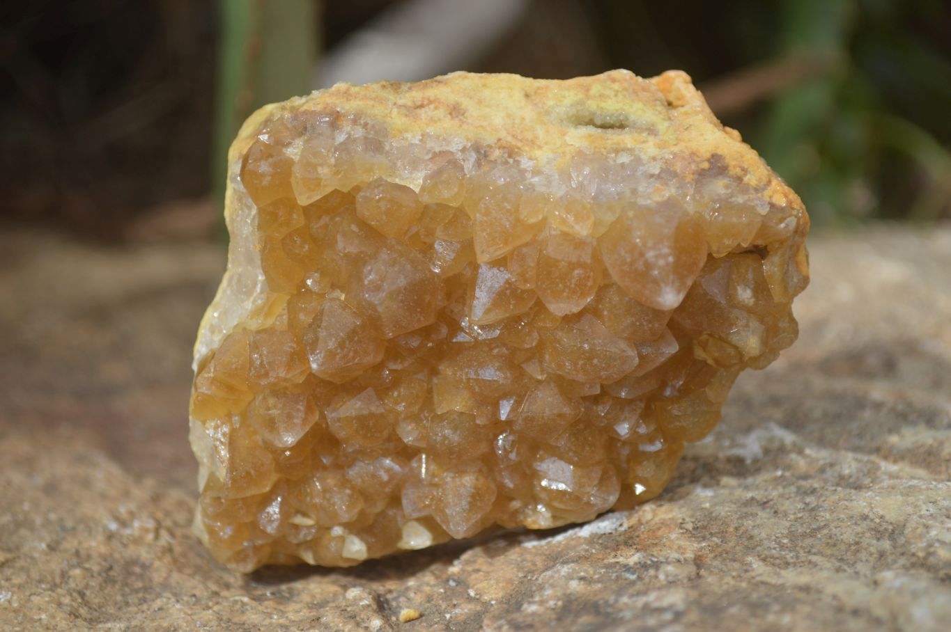 Natural Limonite Quartz Clusters x 12 From Solwezi, Zambia - Toprock Gemstones and Minerals 
