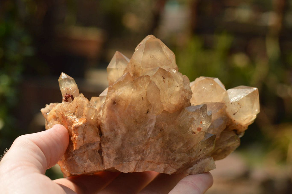 Natural Smokey Phantom Quartz Clusters x 4 From Luena, Congo - TopRock