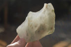 Natural Rough Jade Cobbed Specimens x 24 From Swaziland - Toprock Gemstones and Minerals 