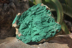 Natural Micro Botryoidal Crystalline Malachite Specimens  x 2 From Congo - Toprock Gemstones and Minerals 
