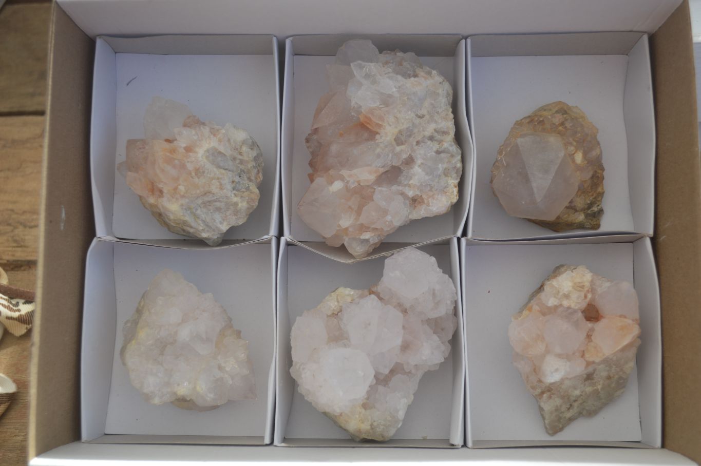 Natural White Cactus Flower Spirit Quartz Specimens x 6 From Boekenhouthoek, South Africa - Toprock Gemstones and Minerals 